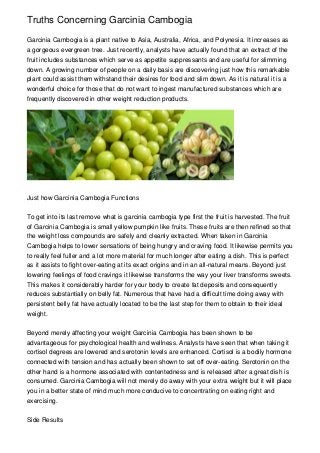Truths Concerning Garcinia Cambogia
Garcinia Cambogia is a plant native to Asia, Australia, Africa, and Polynesia. It increases as
a gorgeous evergreen tree. Just recently, analysts have actually found that an extract of the
fruit includes substances which serve as appetite suppressants and are useful for slimming
down. A growing number of people on a daily basis are discovering just how this remarkable
plant could assist them withstand their desires for food and slim down. As it is natural it is a
wonderful choice for those that do not want to ingest manufactured substances which are
frequently discovered in other weight reduction products.

Just how Garcinia Cambogia Functions
To get into its last remove what is garcinia cambogia type first the fruit is harvested. The fruit
of Garcinia Cambogia is small yellow pumpkin like fruits. These fruits are then refined so that
the weight loss compounds are safely and cleanly extracted. When taken in Garcinia
Cambogia helps to lower sensations of being hungry and craving food. It likewise permits you
to really feel fuller and a lot more material for much longer after eating a dish. This is perfect
as it assists to fight over-eating at its exact origins and in an all-natural means. Beyond just
lowering feelings of food cravings it likewise transforms the way your liver transforms sweets.
This makes it considerably harder for your body to create fat deposits and consequently
reduces substantially on belly fat. Numerous that have had a difficult time doing away with
persistent belly fat have actually located to be the last step for them to obtain to their ideal
weight.
Beyond merely affecting your weight Garcinia Cambogia has been shown to be
advantageous for psychological health and wellness. Analysts have seen that when taking it
cortisol degrees are lowered and serotonin levels are enhanced. Cortisol is a bodily hormone
connected with tension and has actually been shown to set off over-eating. Serotonin on the
other hand is a hormone associated with contentedness and is released after a great dish is
consumed. Garcinia Cambogia will not merely do away with your extra weight but it will place
you in a better state of mind much more conducive to concentrating on eating right and
exercising.
Side Results

 
