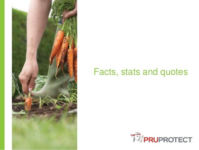 Facts, stats and quotes