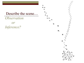 Describe the scene… Observation    or Inference? 