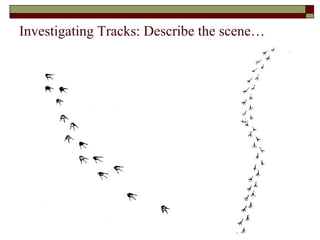 Investigating Tracks: Describe the scene… 