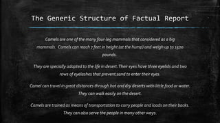 Factual Report | PPTX
