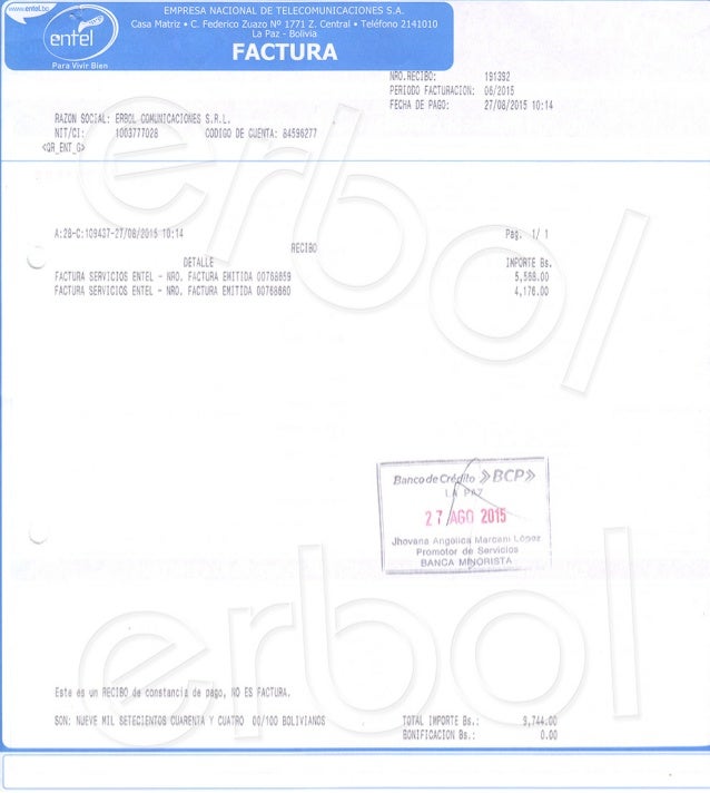 Factura entel 2015-06 servicio de internet ERBOL