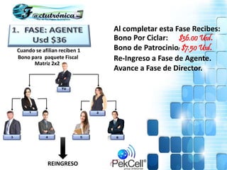 Al completar esta Fase Recibes:
Bono Por Ciclar: $36.00 Usd.
Bono de Patrocinio: $7.50 Usd.
Re-Ingreso a Fase de Agente.
Avance a Fase de Director.
Cuando se afilian reciben 1
Bono para paquete Fiscal
REINGRESO
Matriz 2x2
 