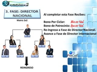 Al completar esta Fase Recibes:
Bono Por Ciclar: $60.00 Usd.
Bono de Patrocinio: $30.00 Usd.
Re-Ingreso a Fase de Director Nacional.
Avance a Fase de Director internacional
REINGRESO
Matriz 2x2
 
