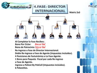 Al Completar la Fase Recibes:
Bono Por Ciclar: $100.00 Usd.
Bono de Patrocinio: $75.00 Usd.
Re-Ingreso a Fase de Director Internacional.
Doble Re-Ingreso a Fase de Agente (Impuestos Incluidos).
4 Posiciones de Factutrónica a La Fase Agente.
1 Bono para Paquete Fiscal por cada Re-ingreso
a Fase de Agente.
Ingreso a PeKost By PekCell (Impuestos incluidos).
6 Pekostitos.
:
Matriz 2x3
 