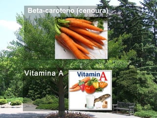 Beta-caroteno (cenoura)
Vitamina A
 