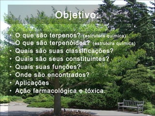 Objetivo:
• O que são terpenos? (estrutura química)
• O que são terpenóides? (estrutura química)
• Quais são suas classificações?
• Quais são seus constituintes?
• Quais suas funções?
• Onde são encontrados?
• Aplicações
• Ação farmacológica e tóxica.
 