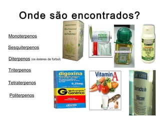 Onde são encontrados?
Monoterpenos
Sesquiterpenos
Diterpenos (os ésteres de forbol)
Triterpenos
Tetraterpenos
Politerpenos
 