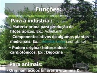 Funções: Para a indústria : -  Matéria-prima para produção de fitoterápicos. Ex.:  Acheflan® -  Componentes ativos de algumas plantas medicinais. Ex.:    Artemisia annua   (antimalárico) -  Podem originar heterosídeos cardiotônicos. Ex.: Digoxina Para animais: - Originam ácidos biliares e vitamina D.  