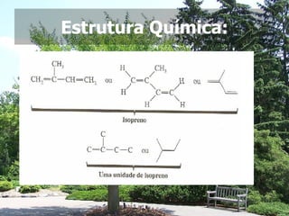 Estrutura Química: 