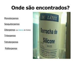 Onde são encontrados? Monoterpenos Sesquiterpenos Diterpenos   ( os  ésteres  de forbol ) Triterpenos Tetraterpenos Politerpenos 