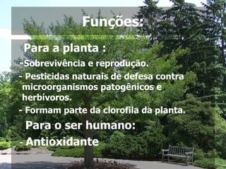 Funções: Para a planta : - Sobrevivência e reprodução. - Pesticidas naturais de defesa contra microorganismos patogênicos e herbívoros. - Formam parte da clorofila da planta. Para o ser humano: -  Antioxidante -  