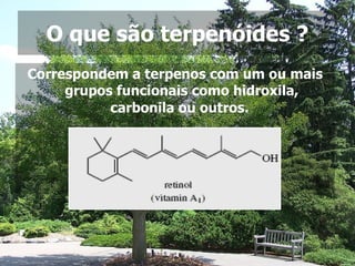 O que são terpenóides ? Correspondem a terpenos com um ou mais grupos funcionais como hidroxila, carbonila ou outros.   