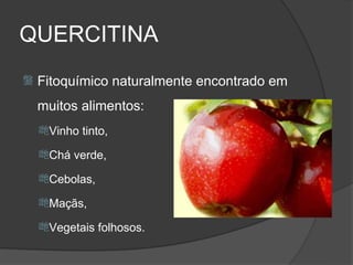 QUERCITINA
   Fitoquímico naturalmente encontrado em
    muitos alimentos:
    Vinho tinto,

    Chá verde,

    Cebolas,

    Maçãs,

    Vegetais folhosos.
 