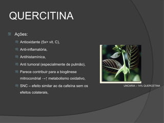 QUERCITINA
   Ações:
     Antioxidante (5x> vit. C),

     Anti-inflamatória,

     Antihistamínica,

     Anti tumoral (especialmente de pulmão),

     Parece contribuir para a biogênese

       mitrocondrial →↑ metabolismo oxidativo,
     SNC – efeito similar ao da cafeína sem os   UNCARIA – 14% QUERCETINA

       efeitos colaterais,
 