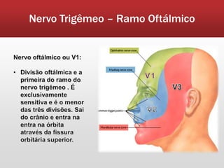 Nervo Trigêmeo – Ramo Oftálmico
 