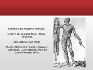 Seminário de Anatomia Humana
 Tema: V par de nervo facial/ Nervo
              Trigêmeo.
     Professor: Gustavo Fraga
Alunas: Alessandra Pontes, Edivanice
  Gonçalves, Luana Negrão, Marcela
        Sena e Roberta Taylla.
 