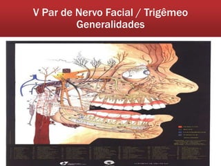 V Par de Nervo Facial / Trigêmeo
         Generalidades
 