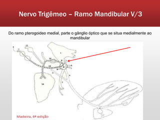 Nervo Trigêmeo – Ramo Mandibular V/3

Do ramo pterogoideo medial, parte o gânglio óptico que se situa medialmente ao
                                 mandibular
 