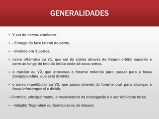GENERALIDADES

   V par de nervos cranianos

   - Emerge da face lateral da ponte,

   - dividido em 3 partes:

   nervo oftálmico ou V1, que sai do crânio através da fissura orbital superior e
    corre ao longo do teto da órbita onde dá seus ramos.

   o maxilar ou V2, que atravessa o forame redondo para passar para a fossa
    pterigopalatina, que está dividido.

   o nervo mandibular ou V3, que passa através do forame oval para alcançar a
    fossa infratemporal e dividir.

- Controla, principalmente, a musculatura da mastigação e a sensibilidade facial.

   - Gânglio Trigeminal ou Semilunar ou de Gasser:
 