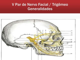 V Par de Nervo Facial / Trigêmeo
         Generalidades
 