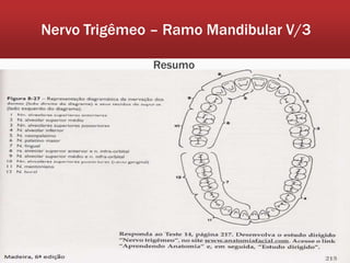 Nervo Trigêmeo – Ramo Mandibular V/3

              Resumo
 