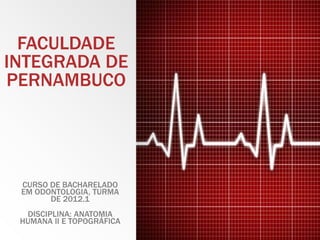 FACULDADE
INTEGRADA DE
PERNAMBUCO




 CURSO DE BACHARELADO
 EM ODONTOLOGIA, TURMA
       DE 2012.1
  DISCIPLINA: ANATOMIA
 HUMANA II E TOPOGRÁFICA
 