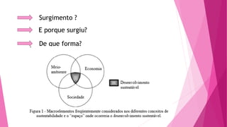 Surgimento ? 
E porque surgiu? 
De que forma? 
 