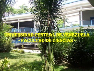 Universidad Central de Venezuela- Facultad de Ciencias - 