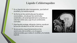 Liquido Cefalorraquídeo
• Es un liquido de color transparente , que baña el
encéfalo y la medula espinal .
• Se forma en los ventrículos por los plexos
coronoideos , circula por los ventrículos
cerebrales y el canal ependimario sumando un
volumen entre 100 y 150 ml ,en condiciones
normales
• Este liquido protege, alimenta ,lubrica, ayuda en
la función de eléctrica al SNC entre otras
• Se encuentra mayoritariamente en los
ventrículos del encéfalo y en el espacio
subaracnoideo,que rodea el encéfalo y la medula
espinal.
 