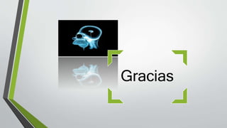 Gracias
 