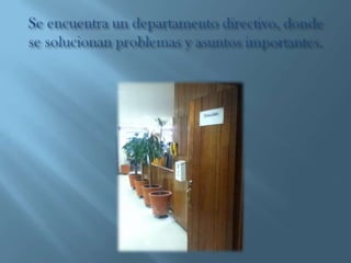 Facultad de derecho