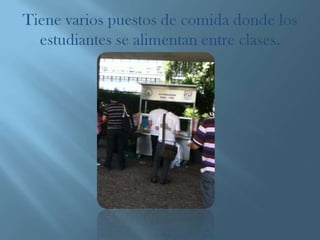 Facultad de derecho