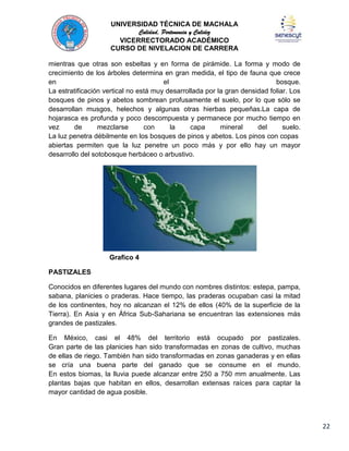 UNIVERSIDAD TÉCNICA DE MACHALA
Calidad, Pertenencia y Calidez
VICERRECTORADO ACADÉMICO
CURSO DE NIVELACION DE CARRERA
mientras que otras son esbeltas y en forma de pirámide. La forma y modo de
crecimiento de los árboles determina en gran medida, el tipo de fauna que crece
en
el
bosque.
La estratificación vertical no está muy desarrollada por la gran densidad foliar. Los
bosques de pinos y abetos sombrean profusamente el suelo, por lo que sólo se
desarrollan musgos, helechos y algunas otras hierbas pequeñas.La capa de
hojarasca es profunda y poco descompuesta y permanece por mucho tiempo en
vez
de
mezclarse
con
la
capa
mineral
del
suelo.
La luz penetra débilmente en los bosques de pinos y abetos. Los pinos con copas
abiertas permiten que la luz penetre un poco más y por ello hay un mayor
desarrollo del sotobosque herbáceo o arbustivo.

Grafico 4
PASTIZALES
Conocidos en diferentes lugares del mundo con nombres distintos: estepa, pampa,
sabana, planicies o praderas. Hace tiempo, las praderas ocupaban casi la mitad
de los continentes, hoy no alcanzan el 12% de ellos (40% de la superficie de la
Tierra). En Asia y en África Sub-Sahariana se encuentran las extensiones más
grandes de pastizales.
En México, casi el 48% del territorio está ocupado por pastizales.
Gran parte de las planicies han sido transformadas en zonas de cultivo, muchas
de ellas de riego. También han sido transformadas en zonas ganaderas y en ellas
se cría una buena parte del ganado que se consume en el mundo.
En estos biomas, la lluvia puede alcanzar entre 250 a 750 mm anualmente. Las
plantas bajas que habitan en ellos, desarrollan extensas raíces para captar la
mayor cantidad de agua posible.

22

 