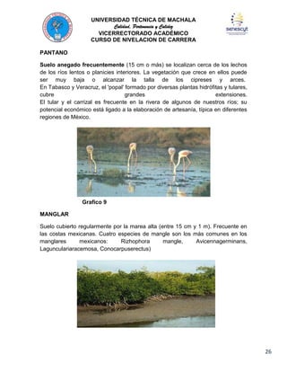 UNIVERSIDAD TÉCNICA DE MACHALA
Calidad, Pertenencia y Calidez
VICERRECTORADO ACADÉMICO
CURSO DE NIVELACION DE CARRERA
PANTANO
Suelo anegado frecuentemente (15 cm o más) se localizan cerca de los lechos
de los ríos lentos o planicies interiores. La vegetación que crece en ellos puede
ser muy baja o alcanzar la talla de los cipreses y arces.
En Tabasco y Veracruz, el 'popal' formado por diversas plantas hidrófitas y tulares,
cubre
grandes
extensiones.
El tular y el carrizal es frecuente en la rivera de algunos de nuestros ríos; su
potencial económico está ligado a la elaboración de artesanía, típica en diferentes
regiones de México.

Grafico 9
MANGLAR
Suelo cubierto regularmente por la marea alta (entre 15 cm y 1 m). Frecuente en
las costas mexicanas. Cuatro especies de mangle son los más comunes en los
manglares
mexicanos:
Rizhophora
mangle,
Avicennagerminans,
Lagunculariaracemosa, Conocarpuserectus)

26

 