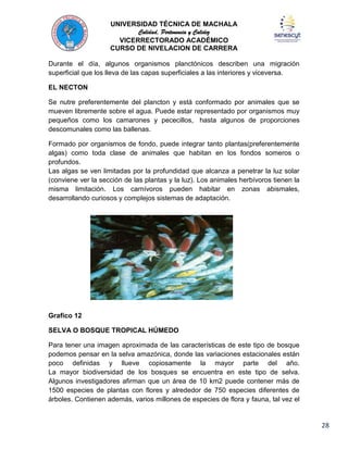 UNIVERSIDAD TÉCNICA DE MACHALA
Calidad, Pertenencia y Calidez
VICERRECTORADO ACADÉMICO
CURSO DE NIVELACION DE CARRERA
Durante el día, algunos organismos planctónicos describen una migración
superficial que los lleva de las capas superficiales a las interiores y viceversa.
EL NECTON
Se nutre preferentemente del plancton y está conformado por animales que se
mueven libremente sobre el agua. Puede estar representado por organismos muy
pequeños como los camarones y pececillos, hasta algunos de proporciones
descomunales como las ballenas.
Formado por organismos de fondo, puede integrar tanto plantas(preferentemente
algas) como toda clase de animales que habitan en los fondos someros o
profundos.
Las algas se ven limitadas por la profundidad que alcanza a penetrar la luz solar
(conviene ver la sección de las plantas y la luz). Los animales herbívoros tienen la
misma limitación. Los carnívoros pueden habitar en zonas abismales,
desarrollando curiosos y complejos sistemas de adaptación.

Grafico 12
SELVA O BOSQUE TROPICAL HÚMEDO
Para tener una imagen aproximada de las características de este tipo de bosque
podemos pensar en la selva amazónica, donde las variaciones estacionales están
poco definidas y llueve copiosamente la mayor parte del año.
La mayor biodiversidad de los bosques se encuentra en este tipo de selva.
Algunos investigadores afirman que un área de 10 km2 puede contener más de
1500 especies de plantas con flores y alrededor de 750 especies diferentes de
árboles. Contienen además, varios millones de especies de flora y fauna, tal vez el

28

 