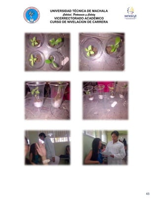 UNIVERSIDAD TÉCNICA DE MACHALA
Calidad, Pertenencia y Calidez
VICERRECTORADO ACADÉMICO
CURSO DE NIVELACION DE CARRERA

43

 