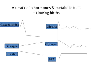 Alteration in hormones & metabolic fuels
following births
Glucagon
Insulin
Glucose
Glycogen
FFA
Catecholamine
 