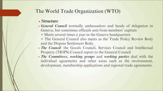 Wto Committees Introduction to: International Trade Policy | PDF