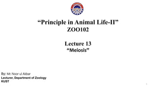 “Principle in Animal Life-II”
ZOO102
Lecture 13
“Meiosis”
By: Mr. Noor ul Akbar
Lecturer, Department of Zoology
KUST
1
 