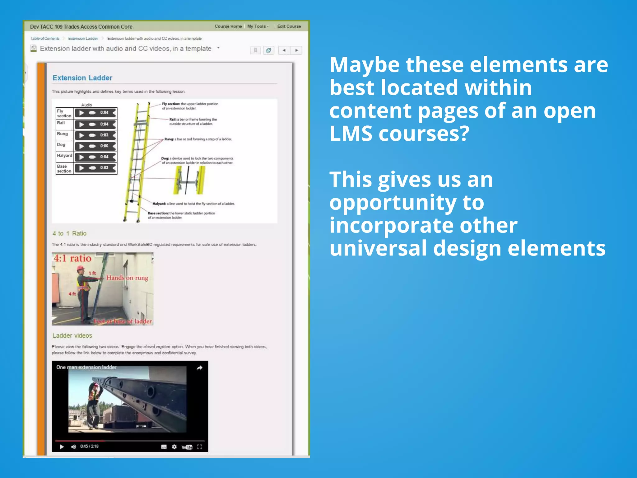 Maybe these elements are
best located within
content pages of an open
LMS courses?
This gives us an
opportunity to
incorporate other
universal design elements
 