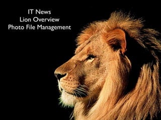 IT News
    Lion Overview
Photo File Management
 