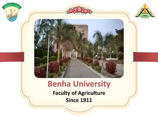 Benha University
Faculty of Agriculture
Since 1911
 