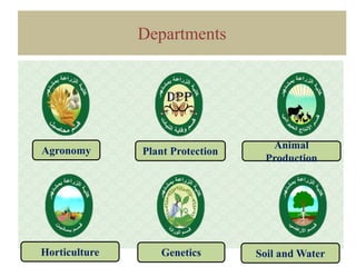 Biochemistry Food Sciences Agricultural
Economy
Plant Pathology
Agricultural
Engineering
Plant
 