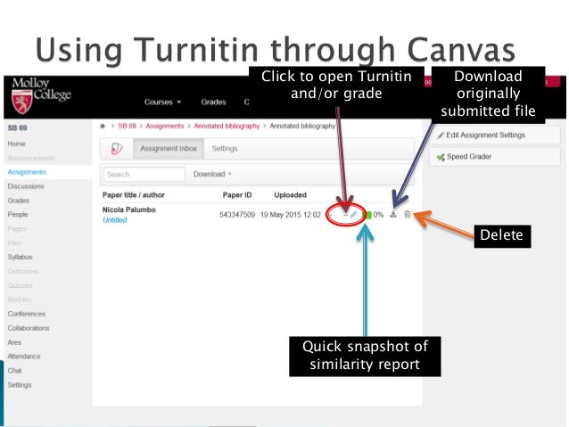 Custom essay turnitin
