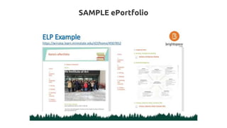 SAMPLE ePortfolio
 
