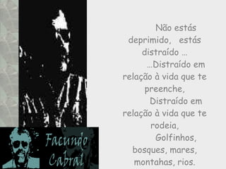 Não estás deprimido,  estás distraído … … Distraído em relação à vida que te preenche, Distraído em relação à vida que te rodeia, Golfinhos, bosques, mares, montahas, rios. 