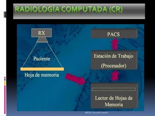 MEZA, Facundo Gastón
 