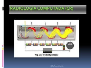 MEZA, Facundo Gastón
 