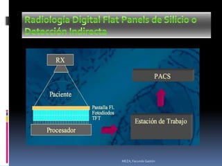 MEZA, Facundo Gastón
 